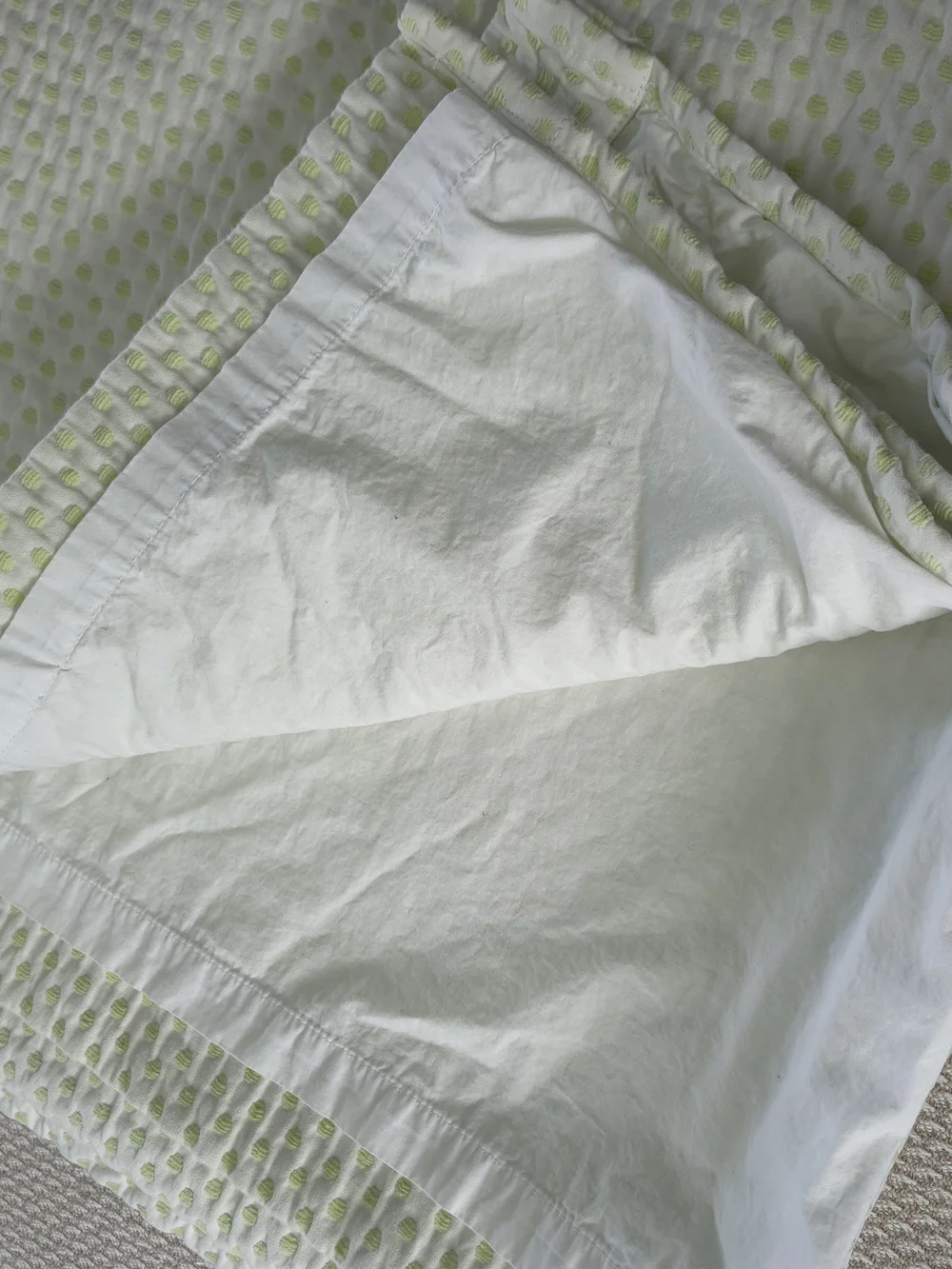 Pottery Barn Kids Audrey Chenille Dot Curtain Panels Green Set of 2